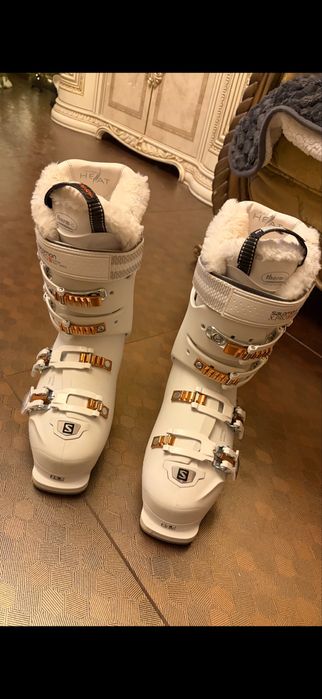 Clapari solomon dama