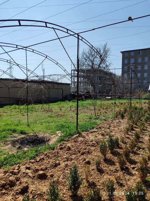 ер сотилади 6 сотох