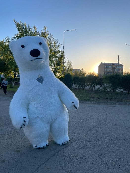 Аниматоры, поздравления, мишка умка