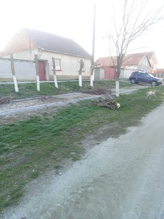 Casa de vânzare în Șimand sau schimb cu garsoniera