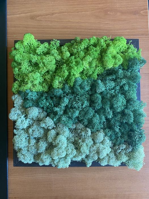 Жива картина от скандинавски мъх, три цвята “Зелен релакс”