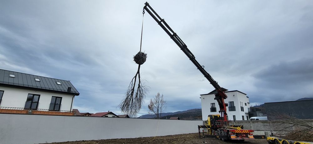 Grădinărit/Gazon/Irigații