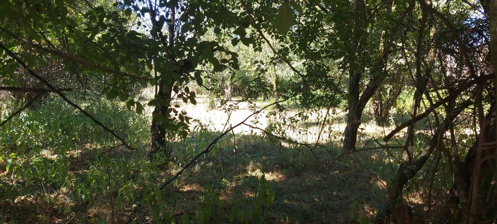 Продава се Парцел в Перник, Църква - 1440 кв.м за 46 €/кв.м - Снимка #9