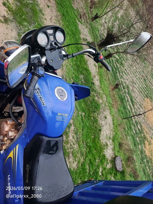 Lochin 2024 yil holati yaxshi