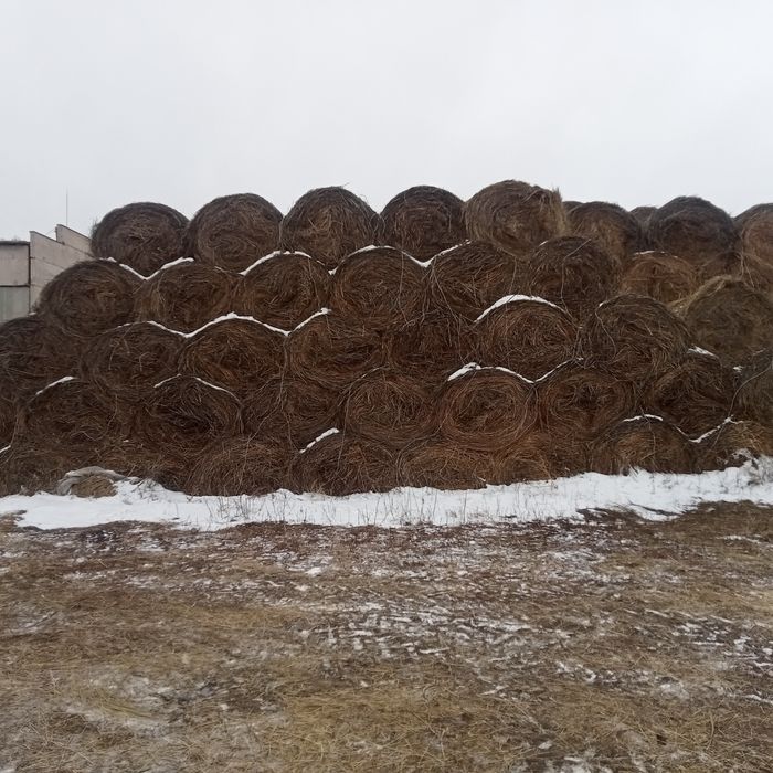 Сено житняк лютцерна рулоны