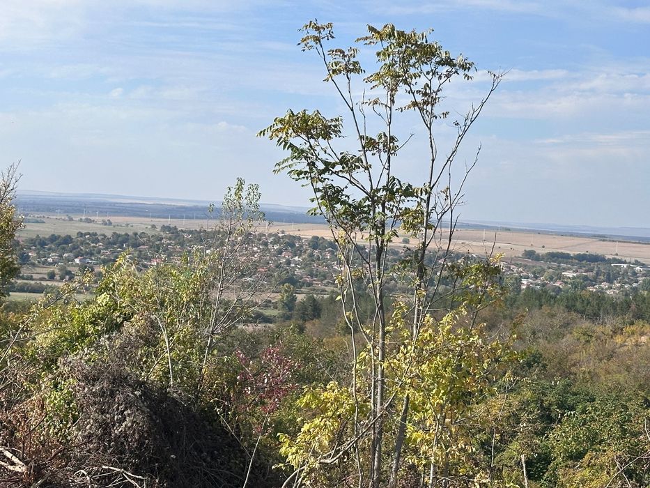 Продава се Парцел в с. Кюлевча, Област Шумен - 7297 кв.м за 23 €/кв.м - Снимка #8