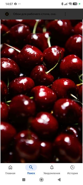 Замороженная вишня, шпанка и хурма