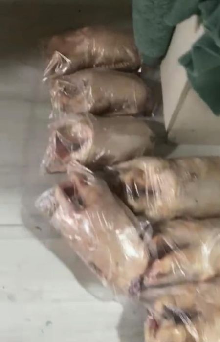 Продам тушки гусей