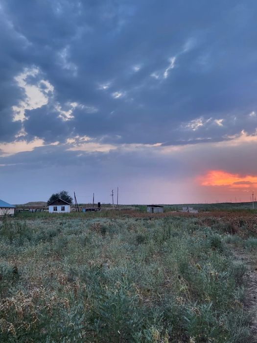 Продается фазенда