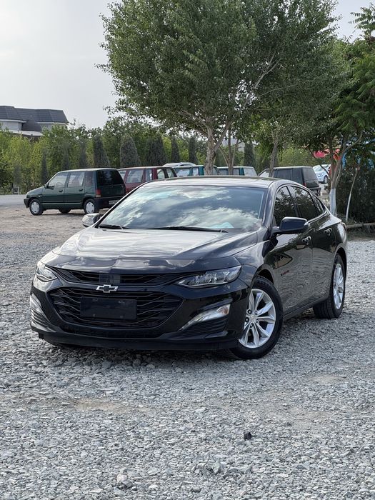 Malibu2 XL 2024