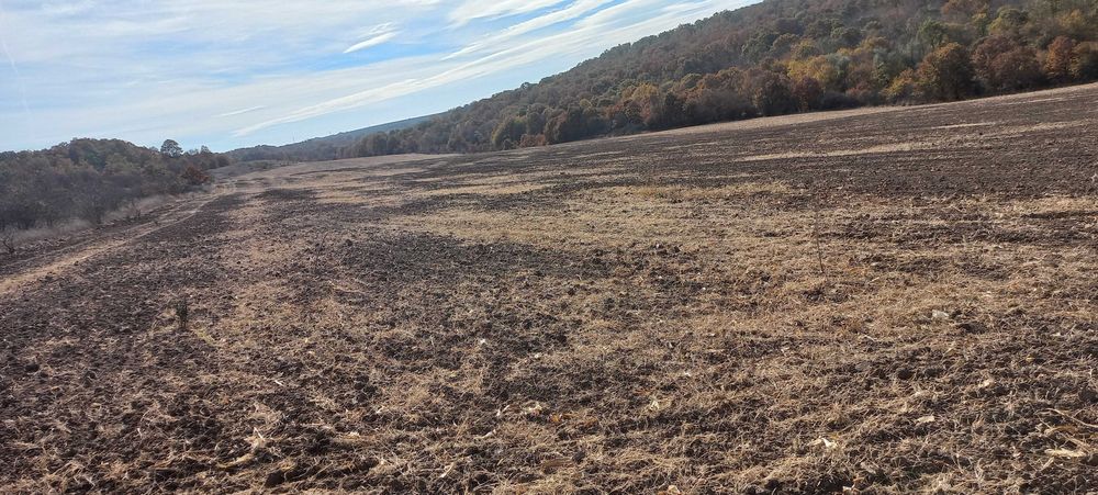 Земеделска земя обл.Варна, общ.Аксаково, с.Зорница