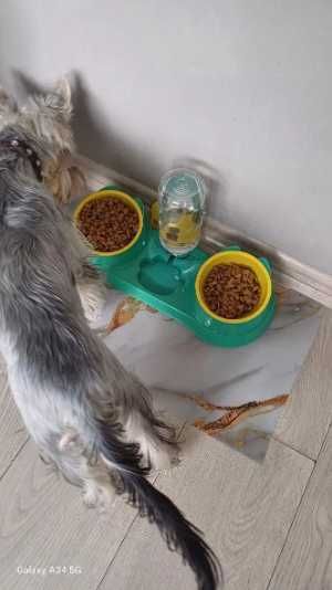 Диспенсер для воды и корма