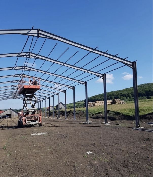Vand hale si structurii metalice