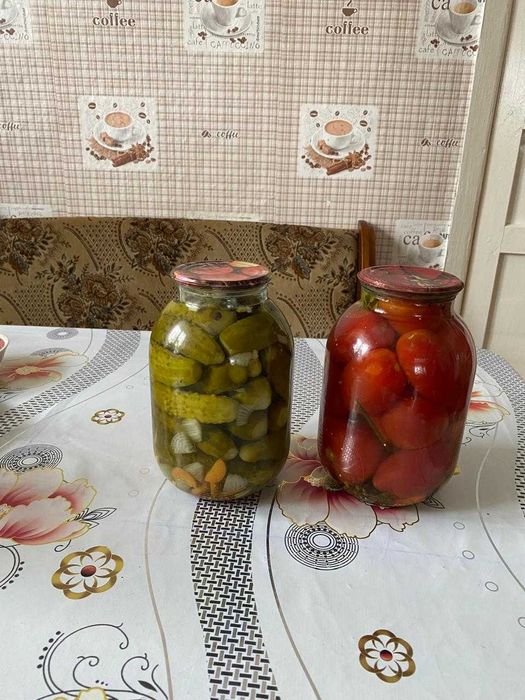 Огурцы, помидоры.