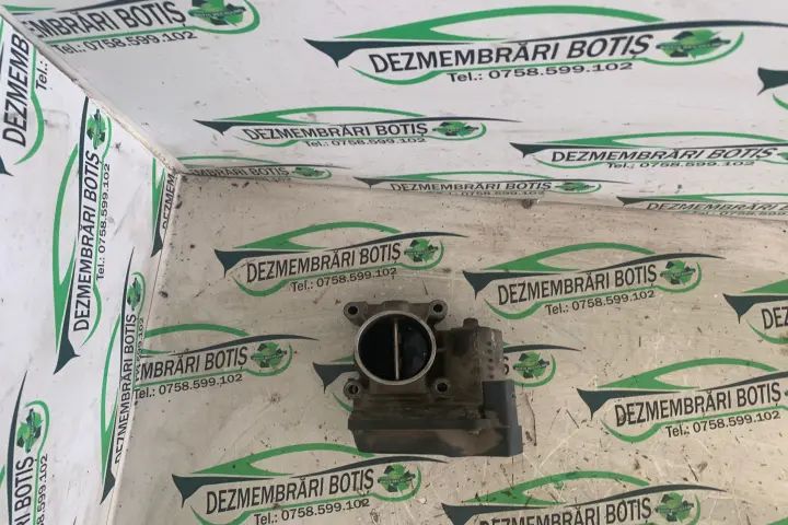 Clapeta acceleratie Volkswagen VW Fox 2006