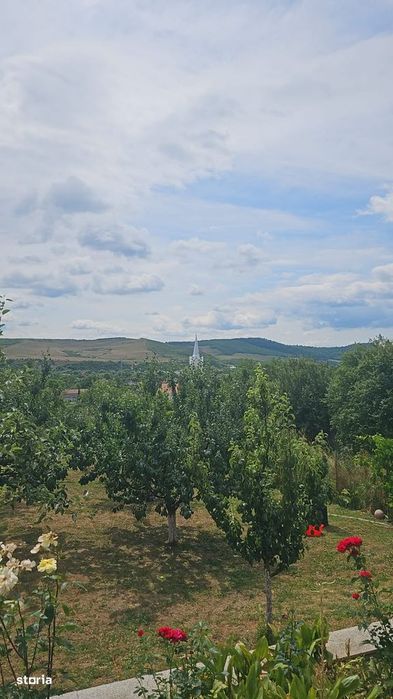 Proprietate deosebită în Viisoara•Casa+anexe+28arii teren