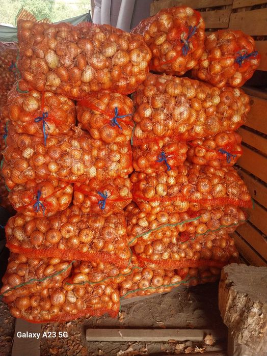 Ceapă de vânzare