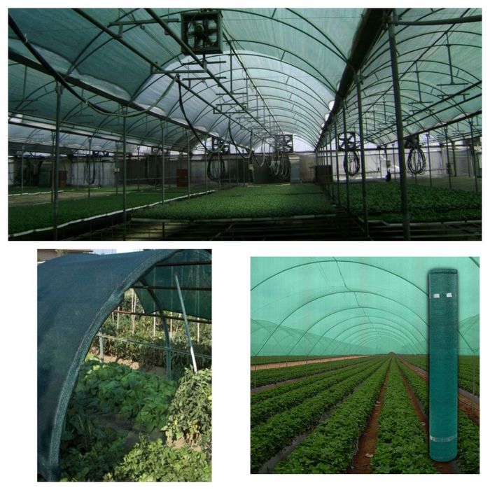 Plasa PROTECTIE CULTURI 35%=40% UMBRIRE 10x50m=835 lei; 12x50m