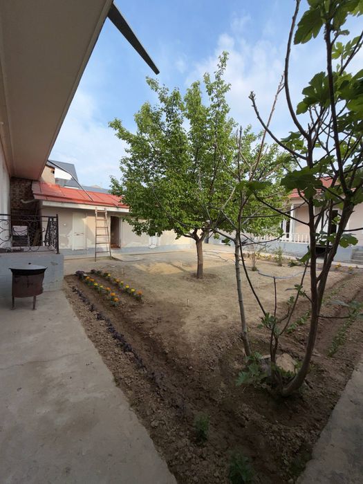 shtab uchtepa hovli 4.2 sotix
