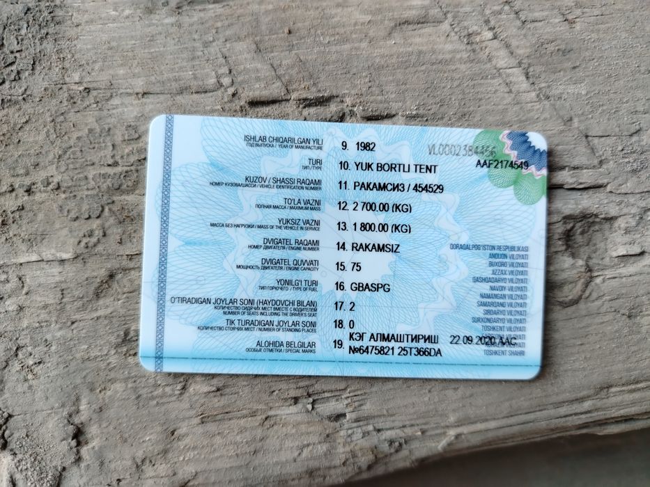 Bortovoy tentli xamma joyi sog'