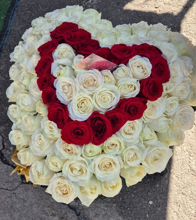 101роза 51роза розы в коробке