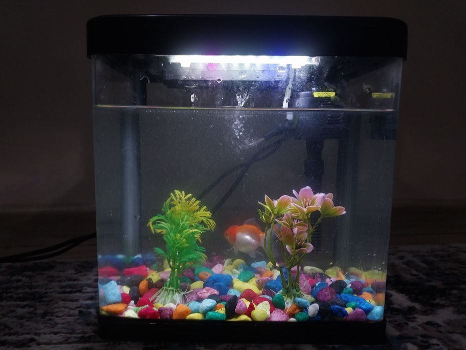 Продам продам продам аквариум