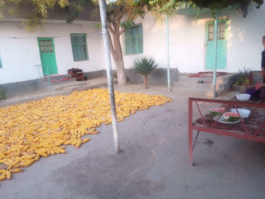 Үй сотилади Бука туманида,Чавлисой МФИ ,Замондош кучаси 30