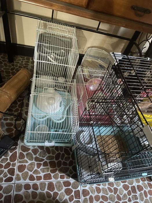 Клетки для грызунов