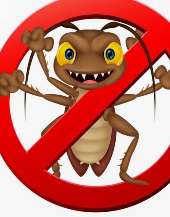 Дезинфекция. Тараканы и клопы