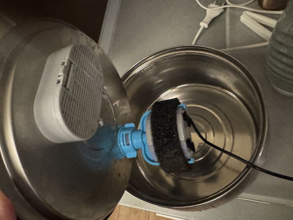 Котешки фонтан KittySpout