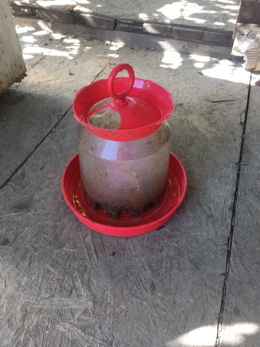 Посуда для цыплятт