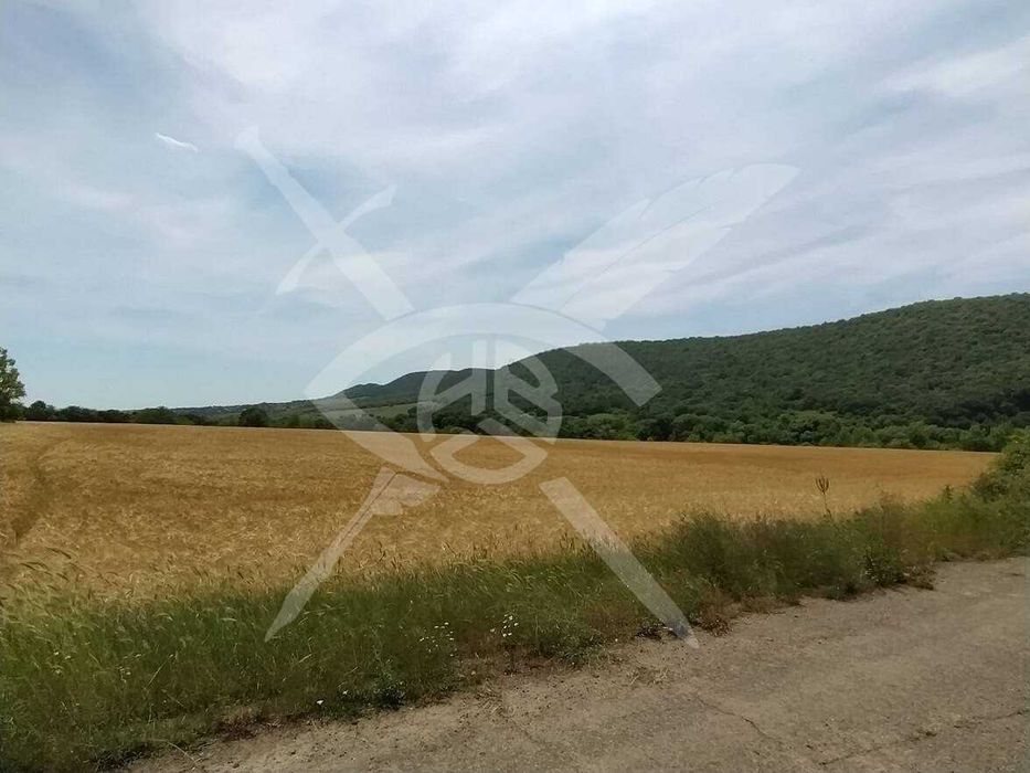 Продава се Парцел в с. Медово, Област Бургас - 19021 кв.м за 10 €/кв.м - Снимка #1