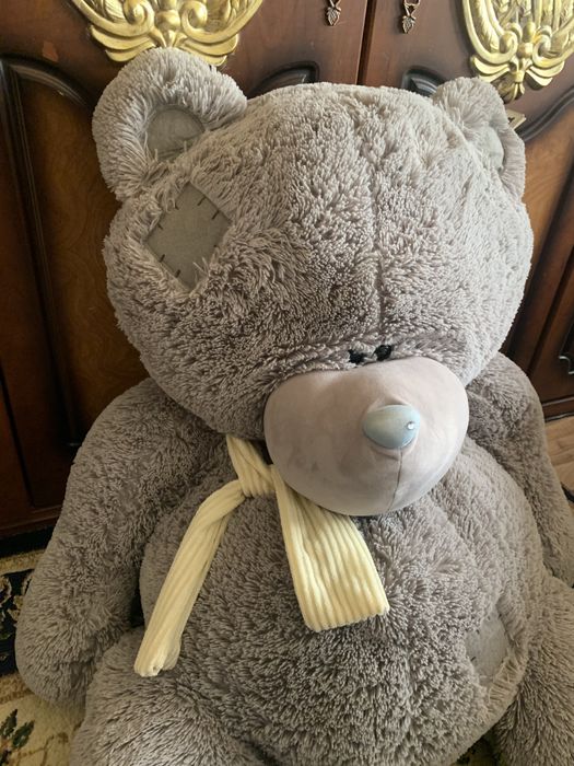 Teddy teddi ayiq