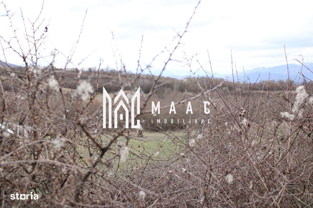 Oportunități de Investiție în Terenuri Sebesul de Sus