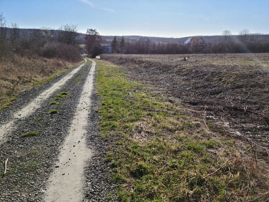 intravilan 10 si 12 ari viile satu mare
