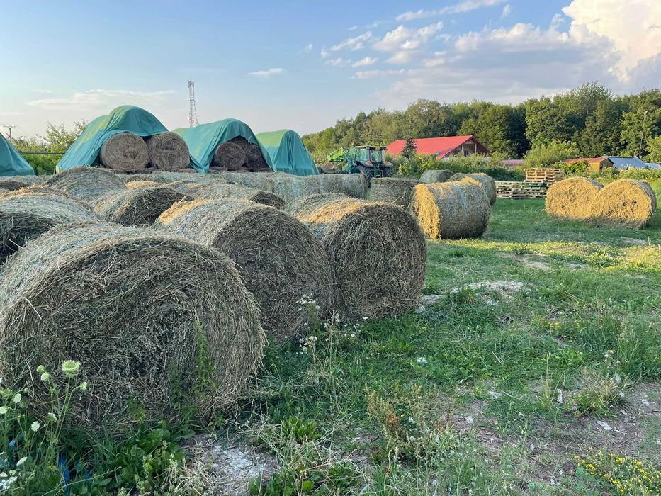 Baloti lucerna semifan-infoliati și fan uscat din agric. ecologică