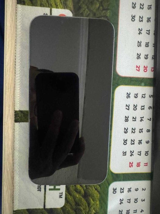 iPhone 13 Pro Max 256GB