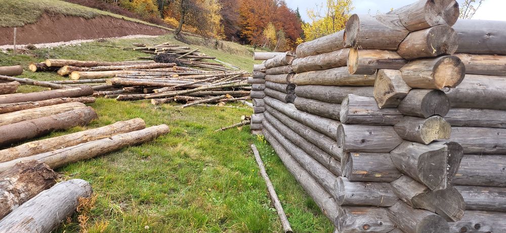 Cabană din buștean rotund, plus coarnele.