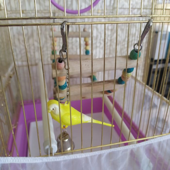 Клетка для птиц, в комплекте