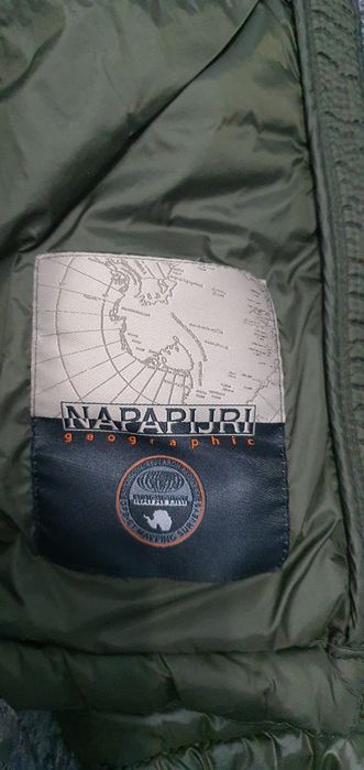Geagă cu glugă, Napapijri