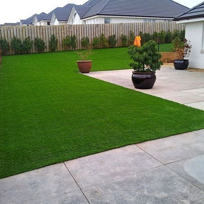 Поссев газона и Клевер