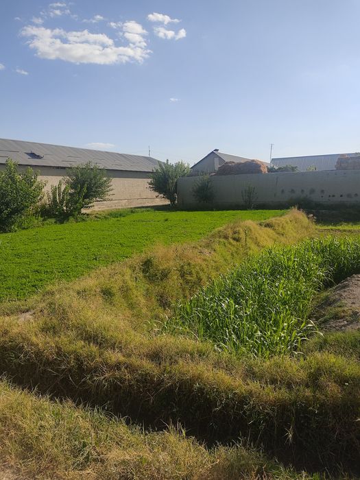 Gaz svet suv sharoitlari yaxshi 7sotix 9800$ kelishamiz