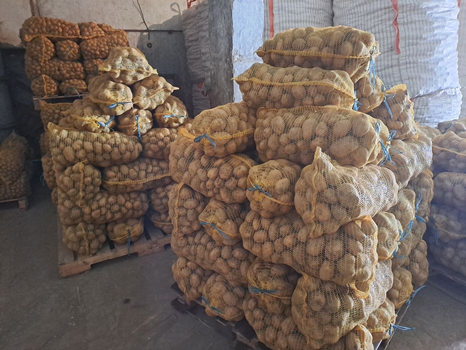 Картофи за консумация и семена