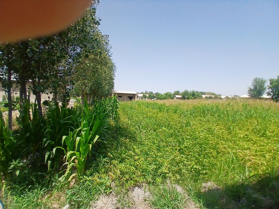 Yer sotiladi  srochniy