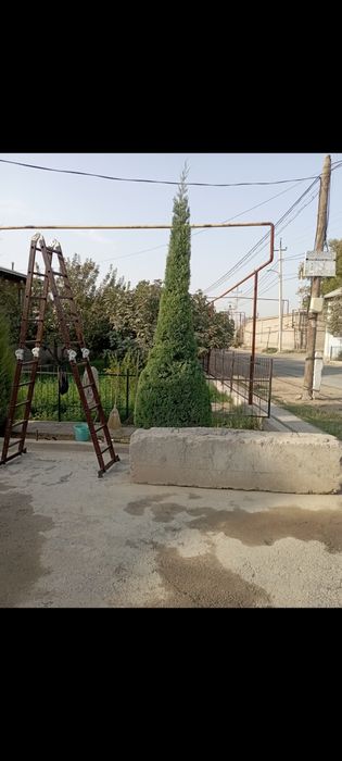 Archa kesish ekish dorilash