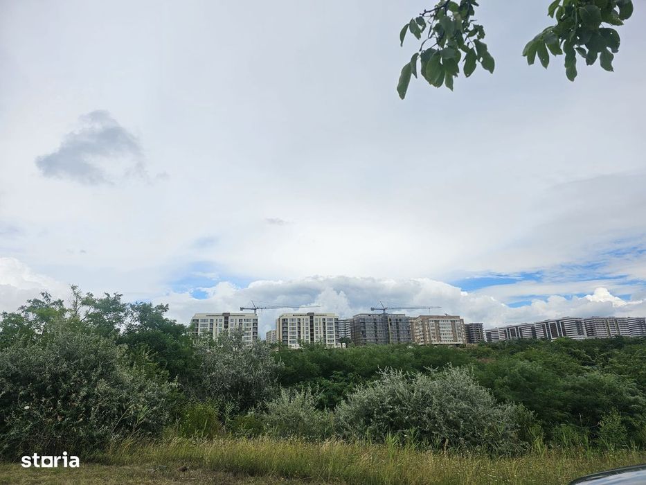 Teren intravilan IASI - COPOU - VITICULTORI -  in vecinatatea padurii