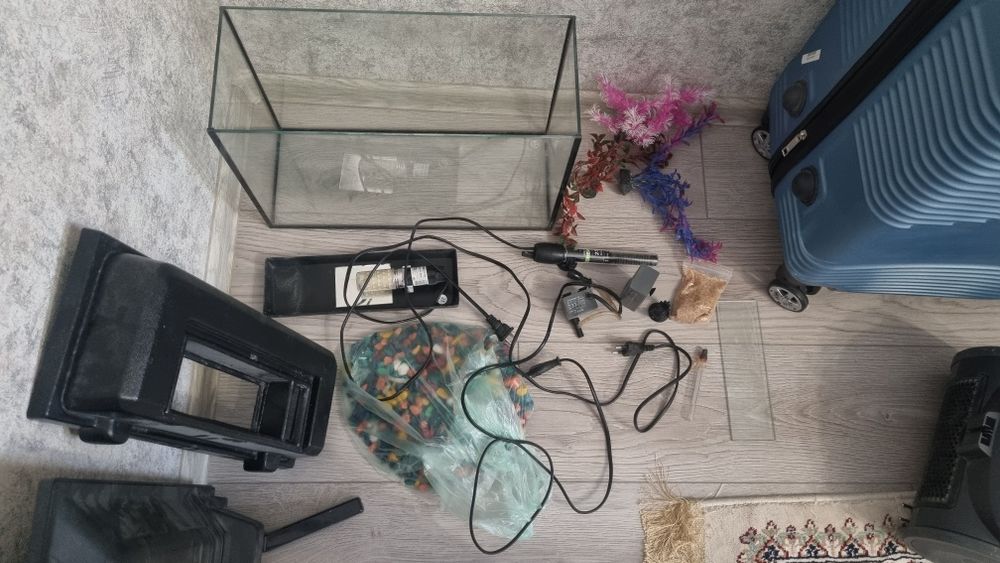 Аквариум крутой!