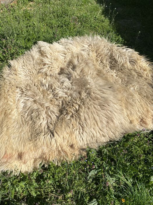 Vand cojoc ciobanesc cusut manual