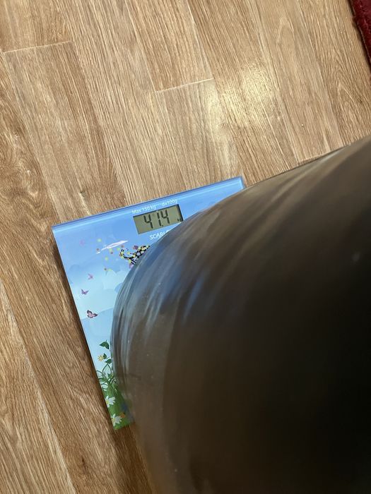 Продам боксерскую грушу