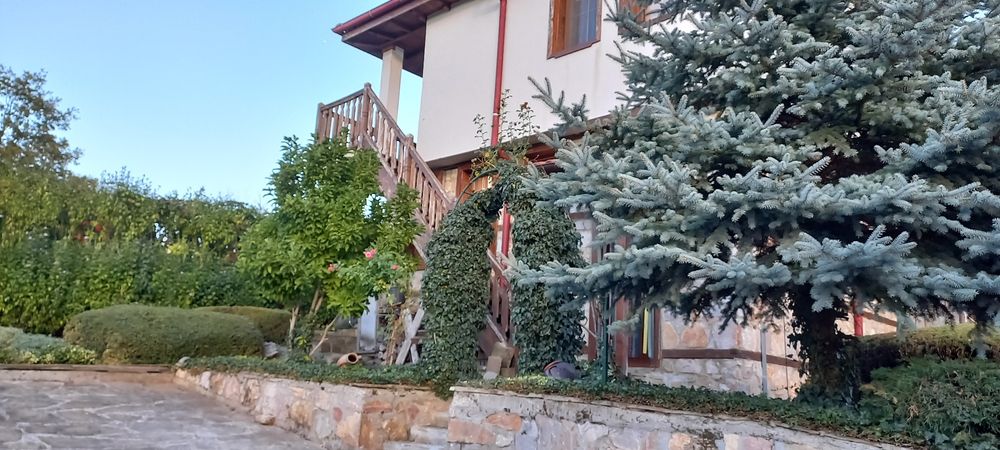 Граматикова къща с.Бръшлян